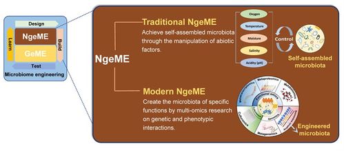 徐巖教授團(tuán)隊(duì)在食品科學(xué)與安全領(lǐng)域取得突破性研究進(jìn)展